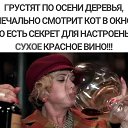 ���� ������, ��������, 54 ���� - ��������� 30 ������� 2024 � ������ ������ ��������