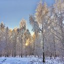 � �� ������� ���� ����������