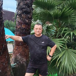 ��������� ������, 51 ���, ������