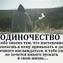 ���� �����, ������, 60 ��� - ��������� 8 ������� 2026