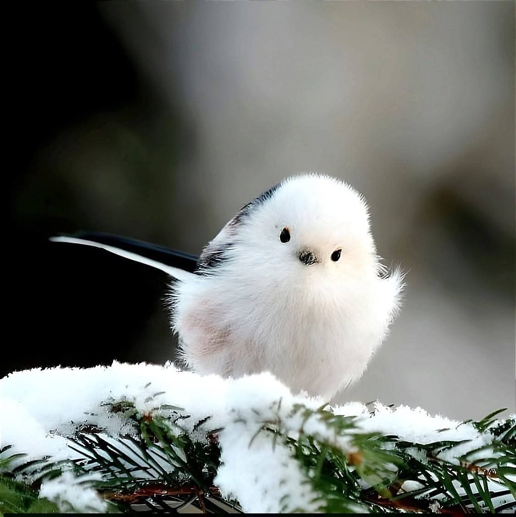 .      .   , ,   !  ... - 3