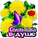 ���� �������, ���������� - ��������� 26 ���� 2026 � ������ ������ ��������