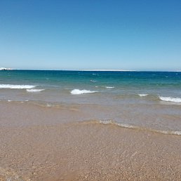 ������, �����, 51 ���