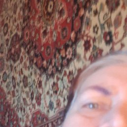 ���� ������, �����, 54 ���� - ��������� 13 ������� 2024