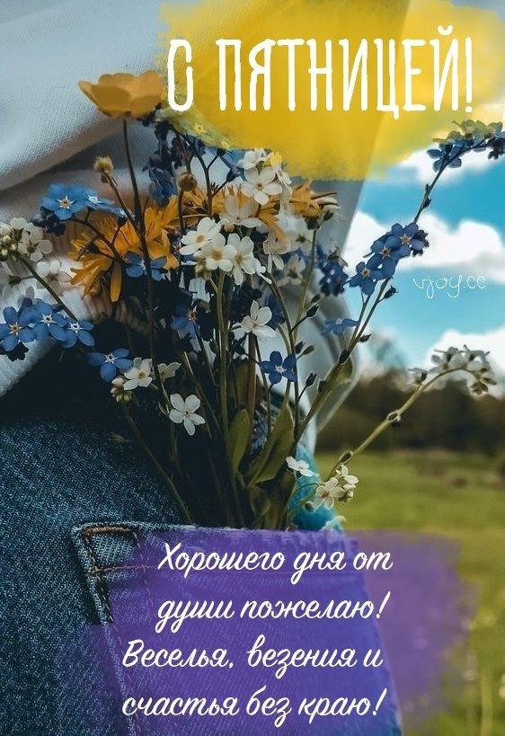   ,    . - 5  2025  12:48