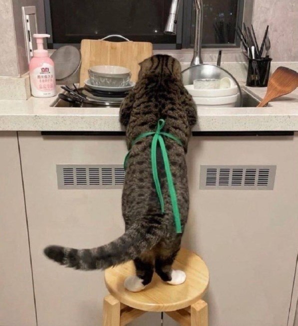  ,  !