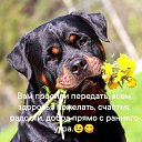 ���� �������, ������ - ��������� 11 ���� 2026 � ������ ������ ��������