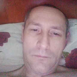 ��������, �������, 41 ���