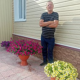 �������� �������, ���������, 67 ���