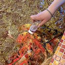 ���� ����, ������, 26 ��� - ��������� 14 ��� 2025 � ������ ���� ����������