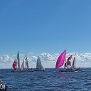 ���� ������, �����-���������, 66 ��� - ��������� 25 ���� 2024 � ������ ������ ��������