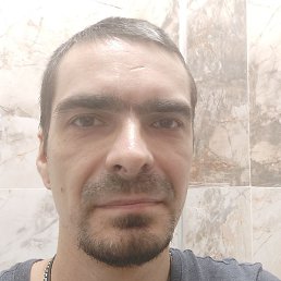 Timur, ������, 40 ���