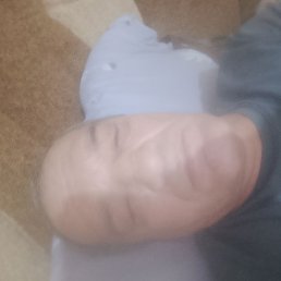 ������, ���������, 51 ���