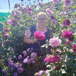 ���� ���������, ��������, 61 ��� - ��������� 5 ������� 2025