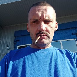 ��������, 40 ���, ����