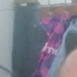 , , 49 