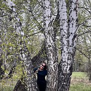 ���������, 37 ���, ����������