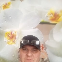 , 41, 