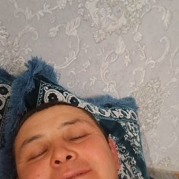 , 41, 