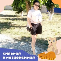  (  ), 50, 