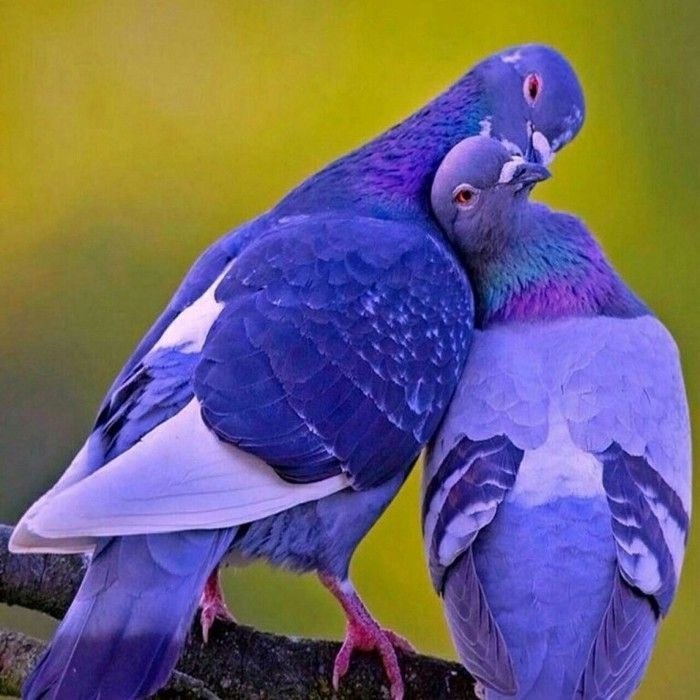 P.S.-       !  ... -  ! (     ! ...
