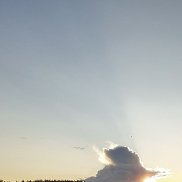 , 58 , 