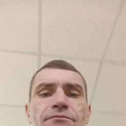 ���� ����, ������, 41 ��� - ��������� 17 ���� 2026