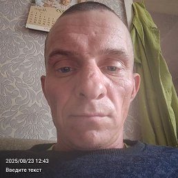 ������, �����, 33 ����