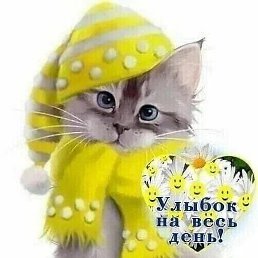 ��������, ������, 37 ���