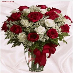 Sge, ����, 63 ����