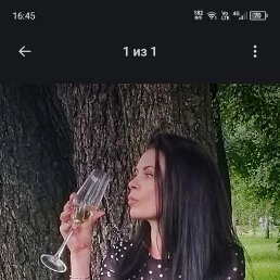 ����, ����, 33 ����