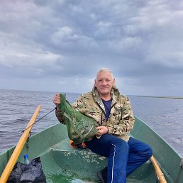 , 65 , -