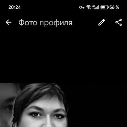 ���� ��������, ���������, 44 ���� - ��������� 12 ������ 2026