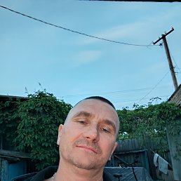 , 44, 