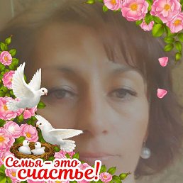 , , 51 