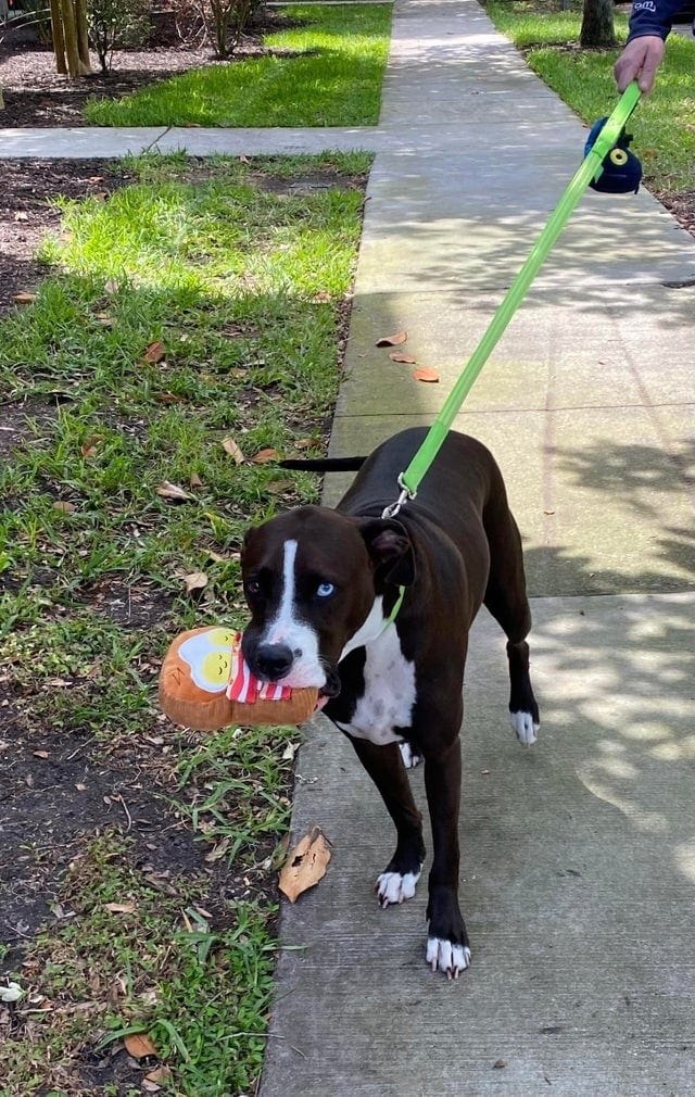 ��� ������� �� �������� �����