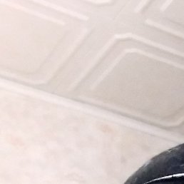 �����, �����, 65 ���