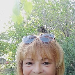 , 65, 