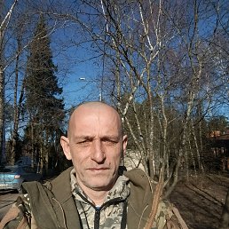 , 51 , -