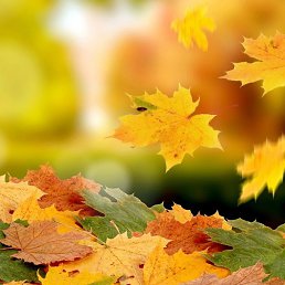 Tat, �����, 47 ���
