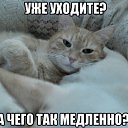  , , 50  -  21  2024    