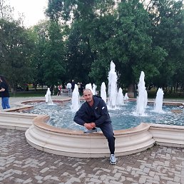 , 43 , 