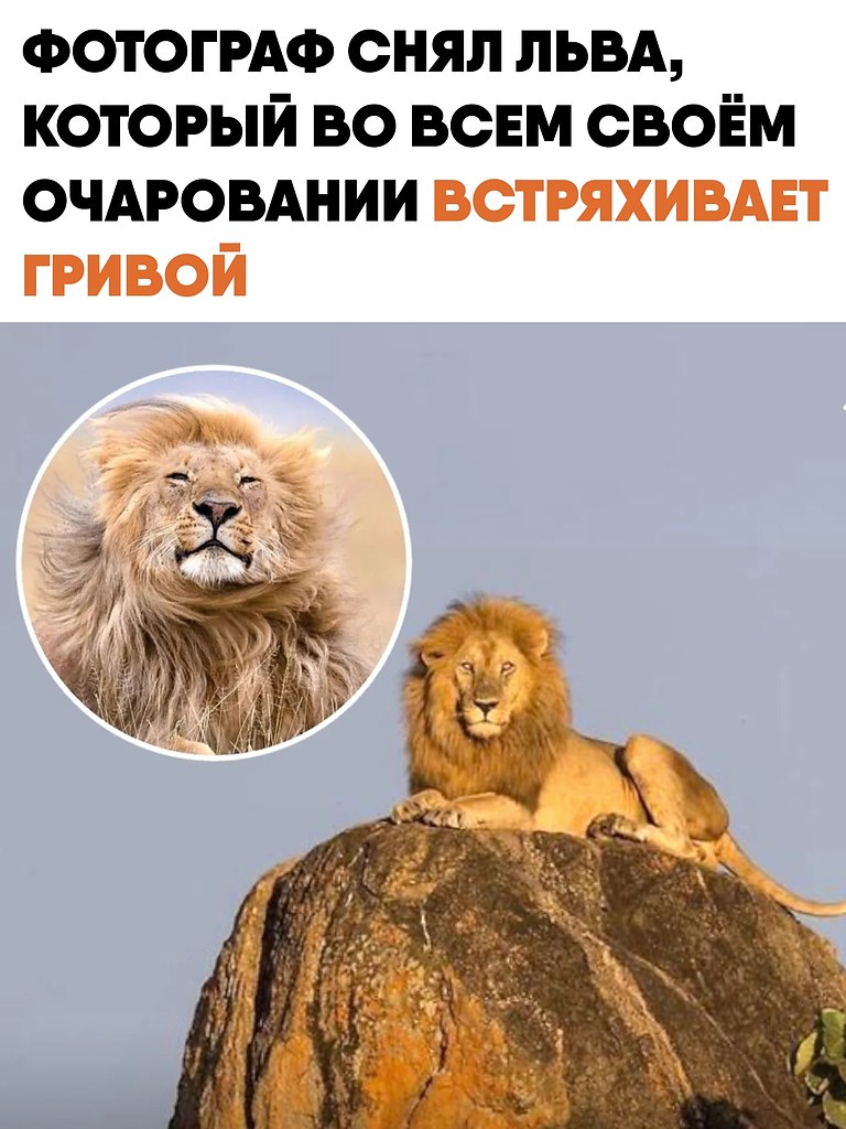 �������� ���������� ���� �� ������� ���������� �����. ����� ��� ������ ������������� ������ ...