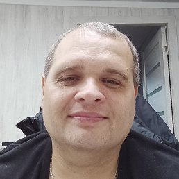 ����, �����-���������, 43 ����