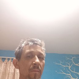  , 53, 