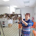 ���� ������, ��������, 75 ��� - ��������� 1 ����� 2026 � ������ �� �������