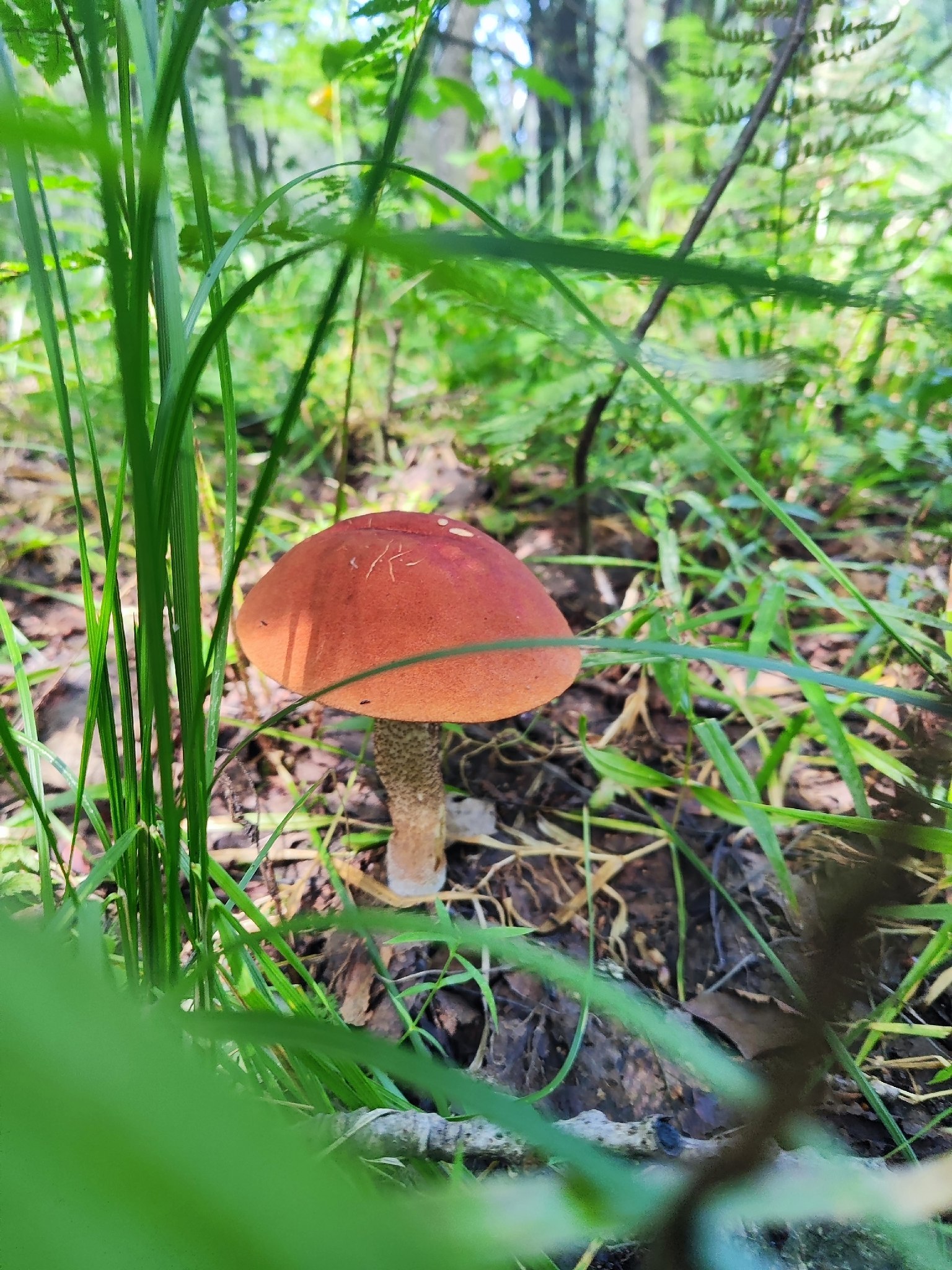   - 3  2025  14:49 - 9