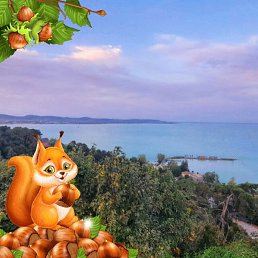 ������, ������, 58 ���