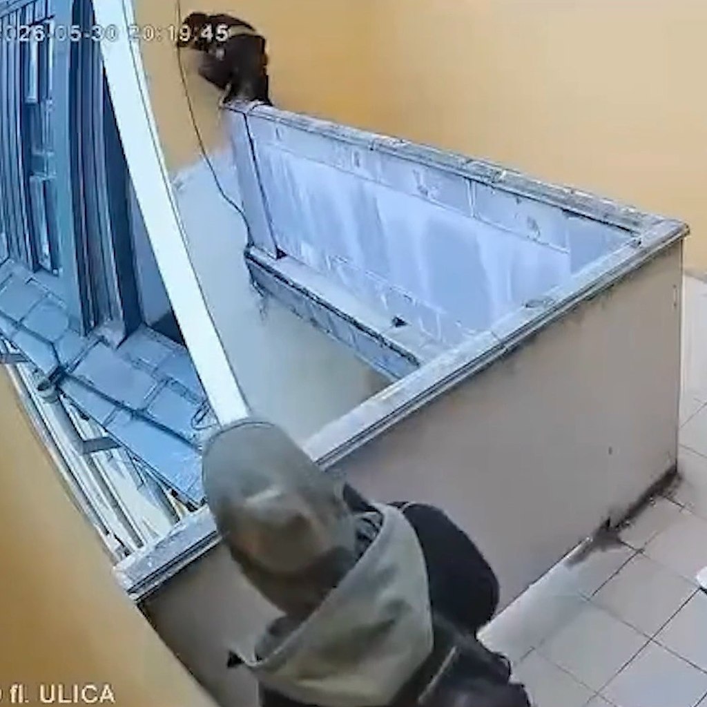 ������� � ����� � ����������. � ���������� ��������� ������� ��������� �� ����� ����������� �� ...