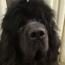  , -, 48  -  28  2025    